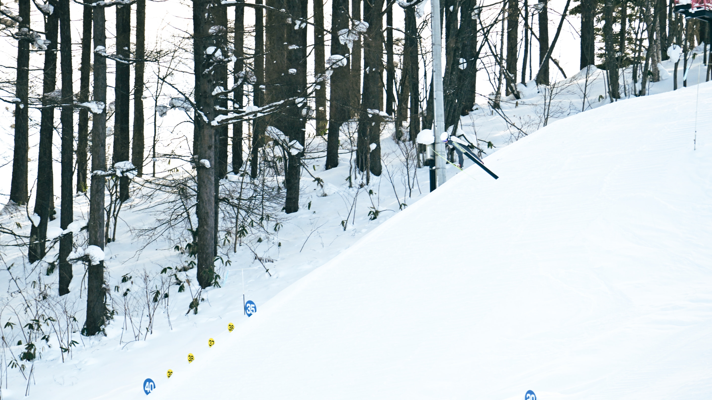 スキージャンプの様子